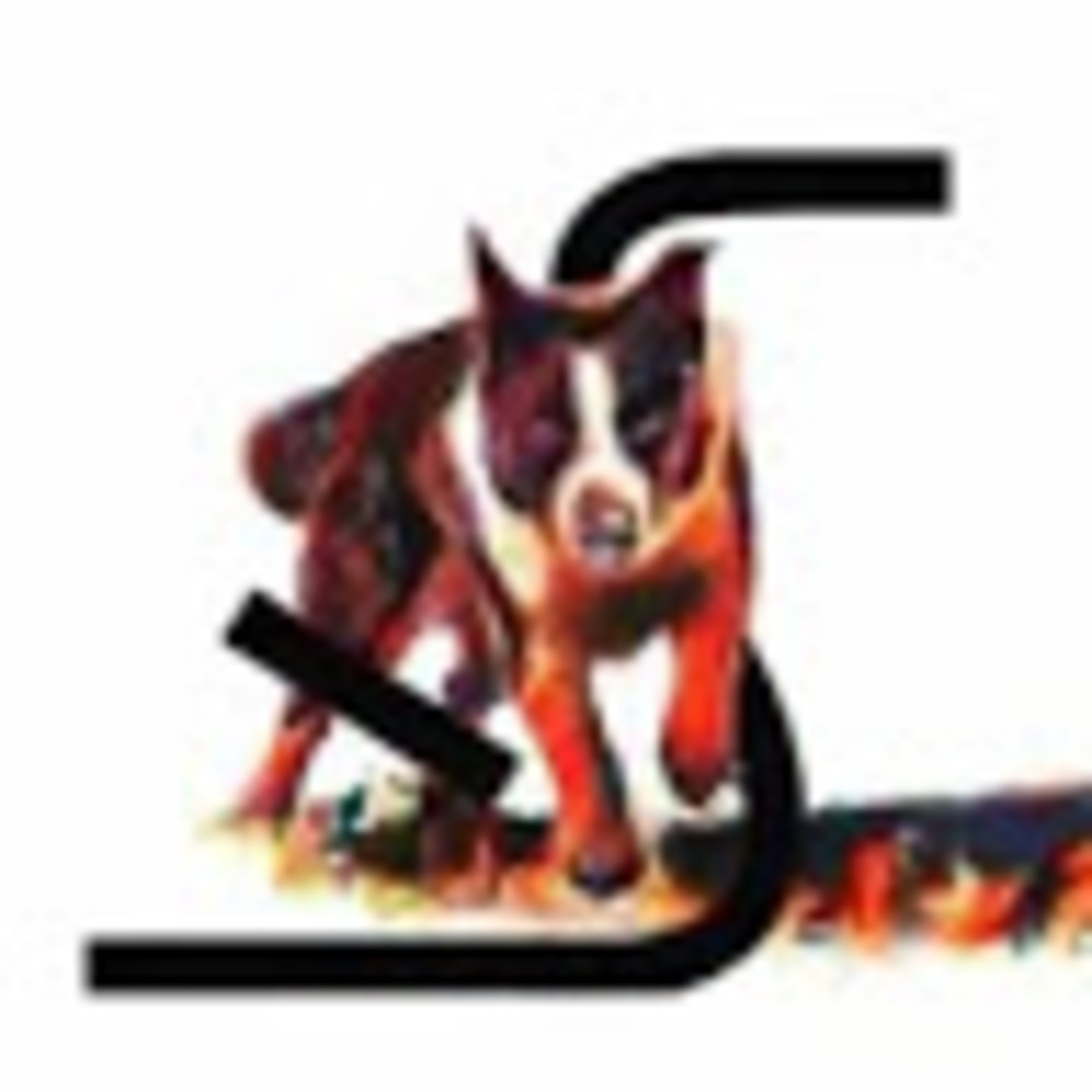 Meet your Posher, The south